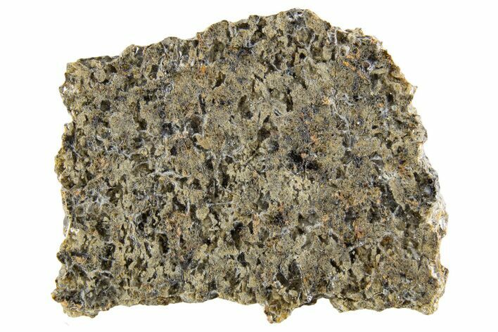 Martian Shergottite Meteorite ( g) Slice - NWA #335342